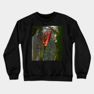 Bird of Paradise Crewneck Sweatshirt